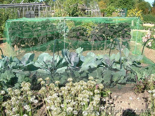 Vegie Netting